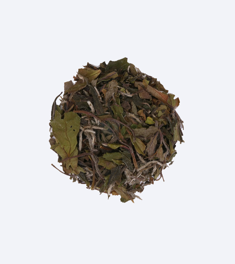 China White Peony Bai Mu Dan